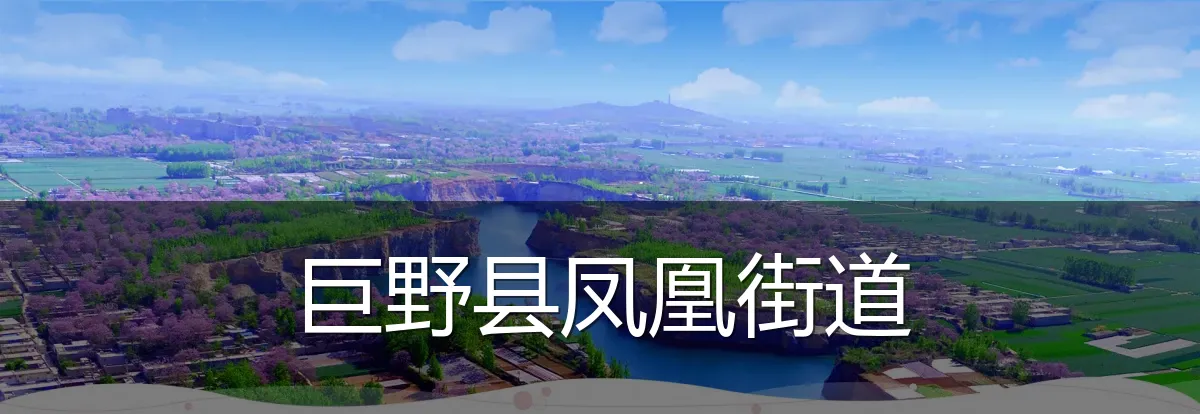 巨野县凤凰街道