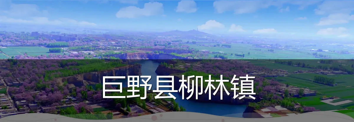 巨野县柳林镇