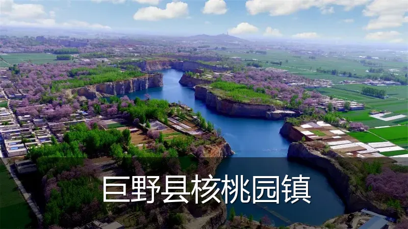 巨野县核桃园镇